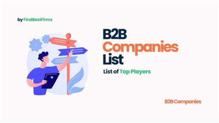 What are B2B companies?