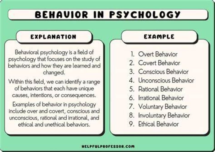 What are behavioral descriptions?