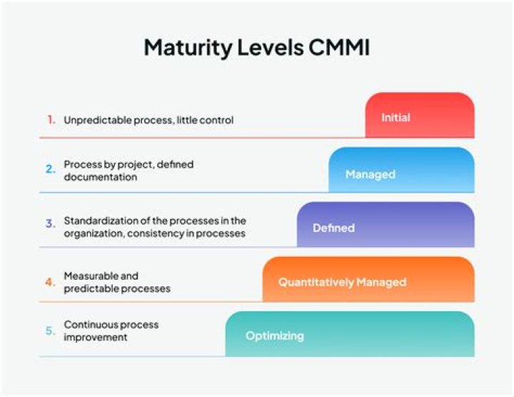 What are CMM level companies?