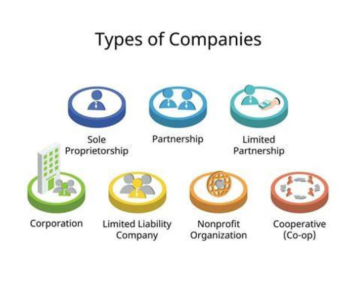 What are corporations defined as entities?