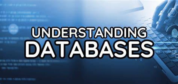 What are databases skills?