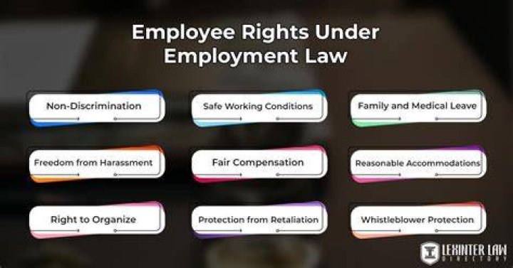What are employees rights explain?