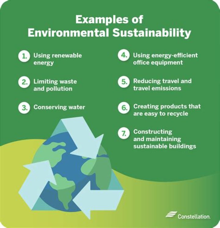 What are environmental sustainability strategies?