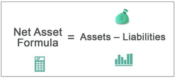 What are examples of net assets?