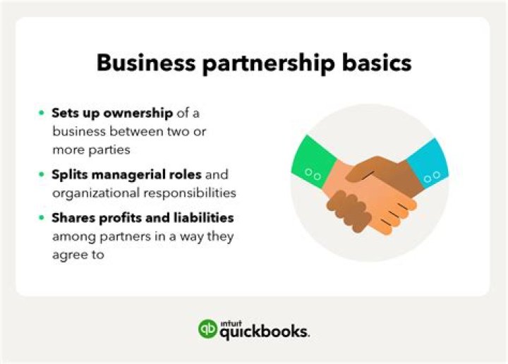 What are examples of partnership business?