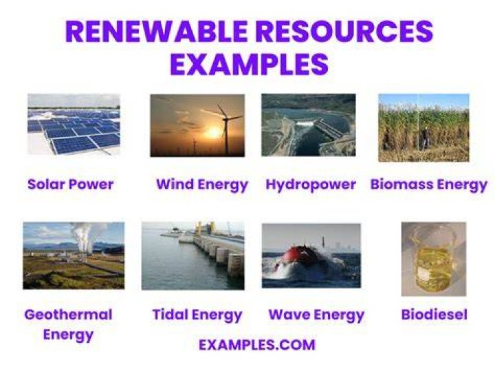 What are examples of perpetual resources?