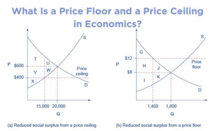 What are examples of price floors and price ceilings?