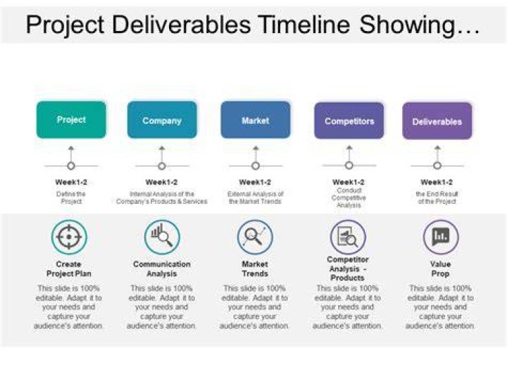 What are examples of project deliverables?