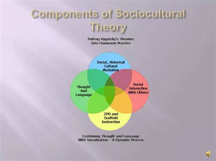 What are examples of sociocultural forces?