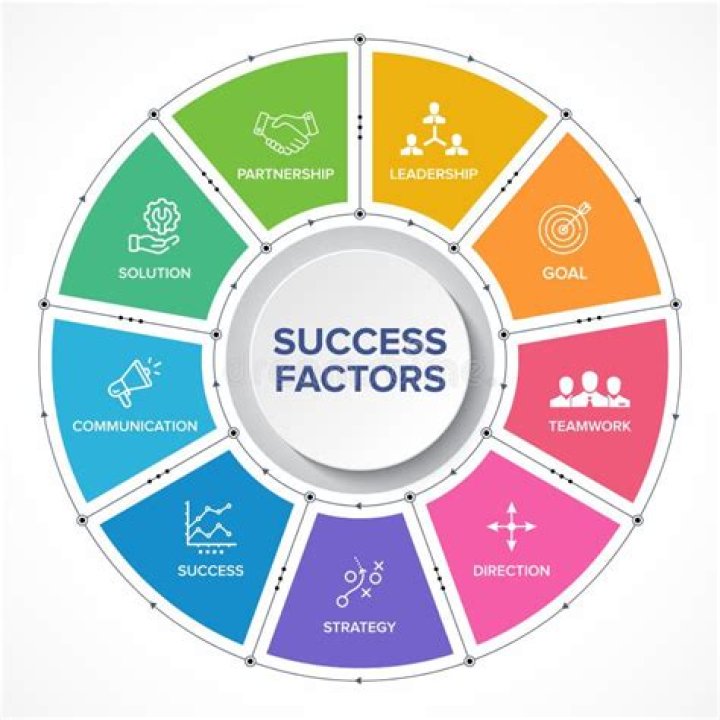 What are examples of success factors?