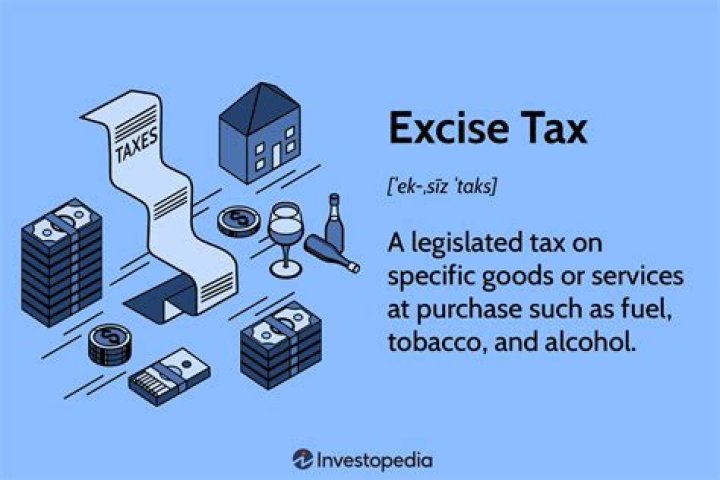 What are excise taxes and why does the government impose excise taxes?