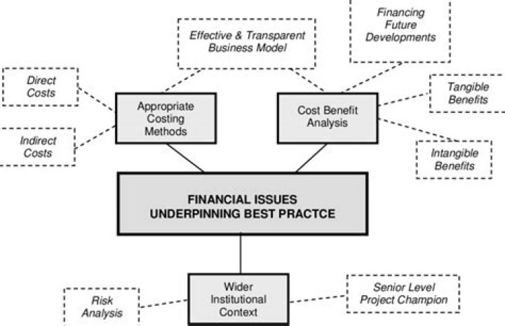 What are financial issues in business?