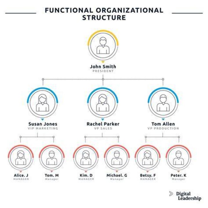 What are functional structures?
