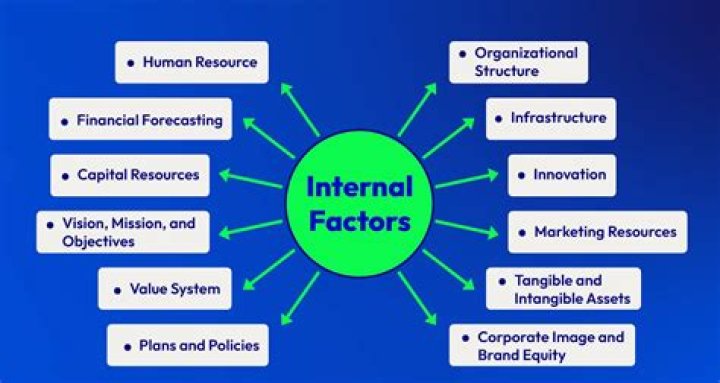 What are internal external factors?