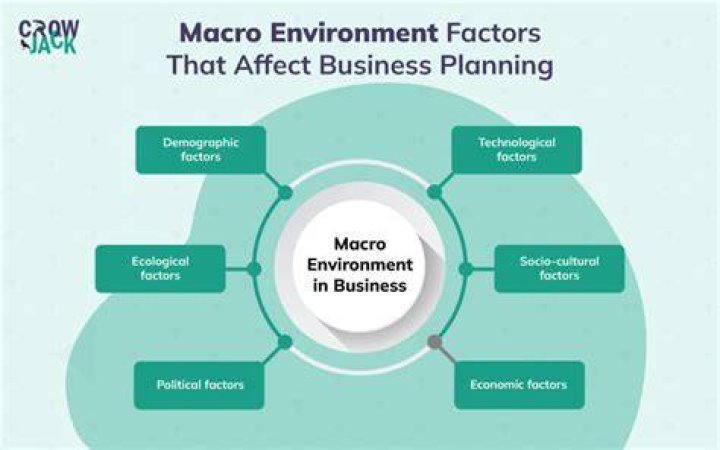 What are macro environmental factors?