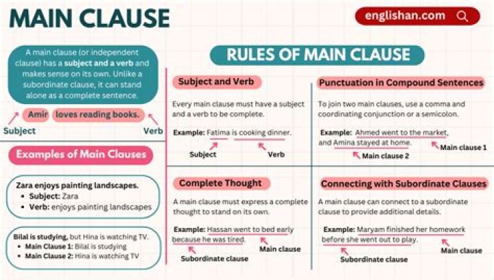 What are management rights clause?