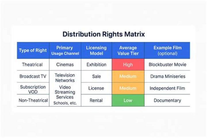 What are movie distribution rights?