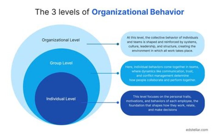 What are needs in organizational behavior?