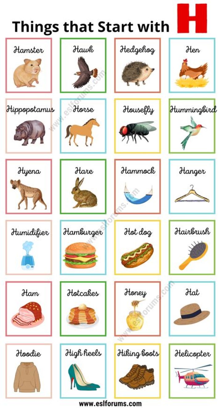 What are objects that start with H?