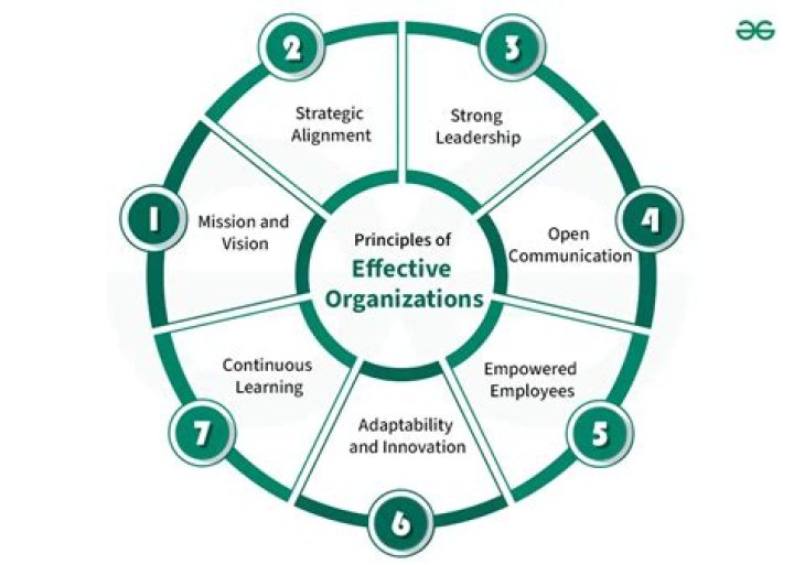 What are Organisational principles?