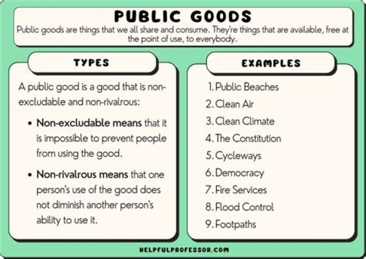 What are public goods Examples Why important?