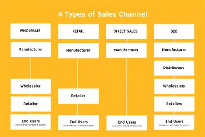 What are sales branches?