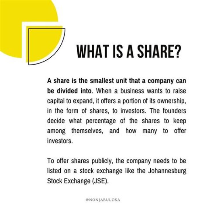 What are shares in business?