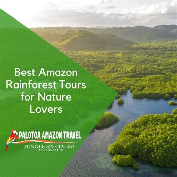 What are some challenges in the Amazon rainforest?