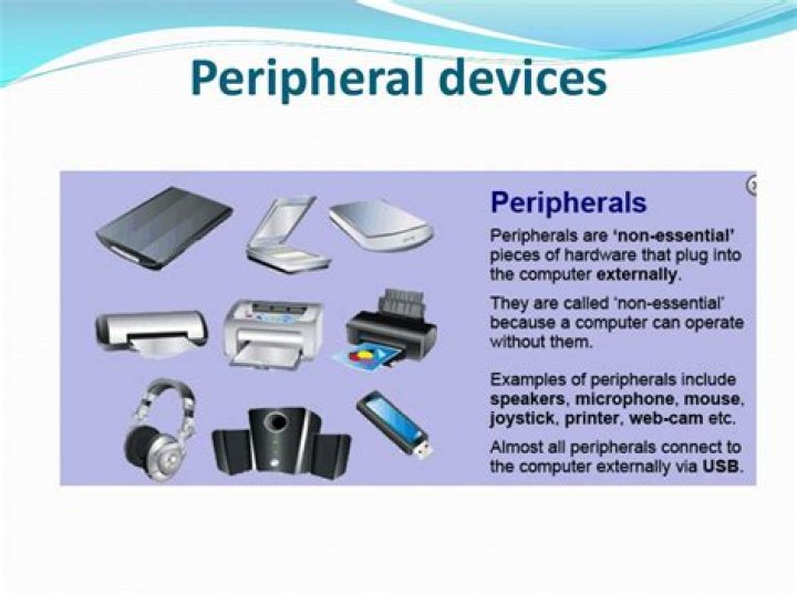 What are some examples of computer peripheral devices?