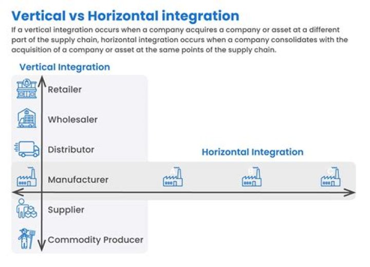 What are some examples of horizontal integration?