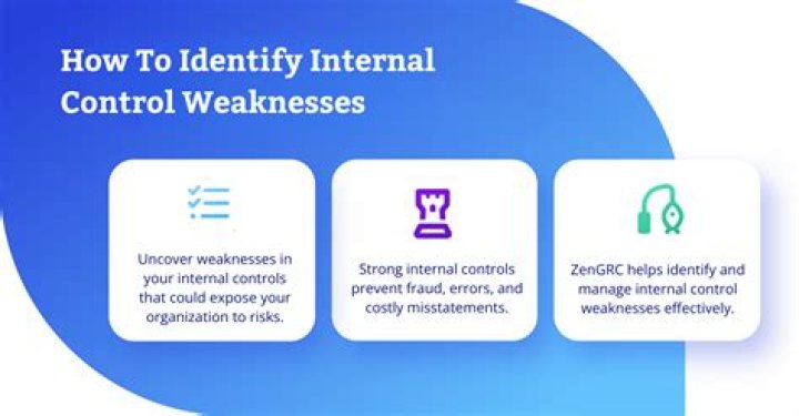 What are some internal control weaknesses?