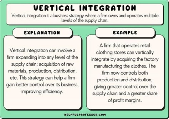 What are some pros and cons of vertical integration?