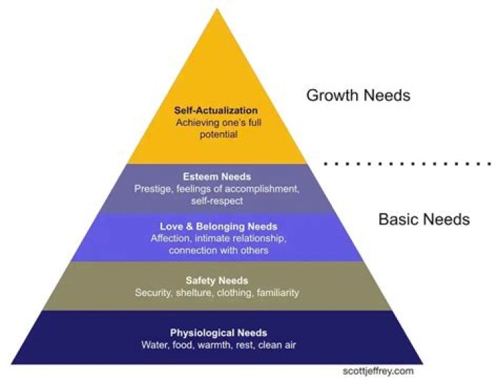 What are the 3 basic social needs?
