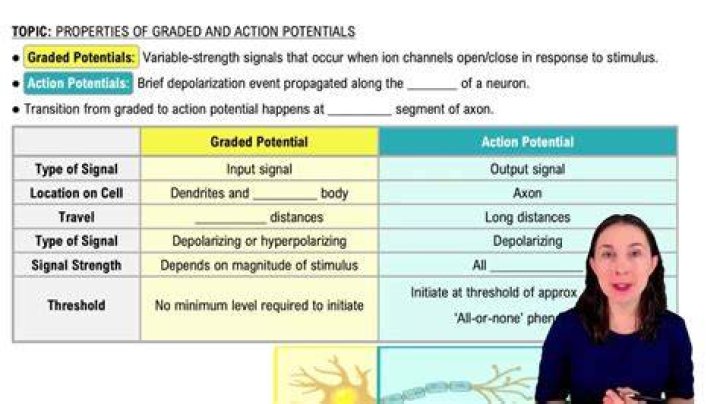 What are the 3 important ions in action potentials?