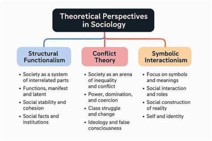 What are the 3 perspectives in sociology and what are their assumptions?