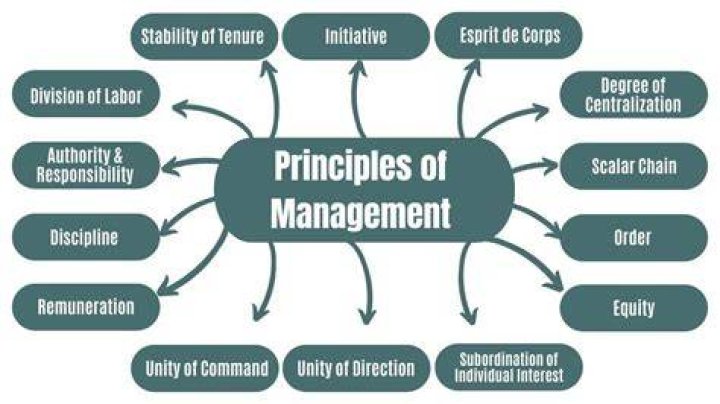 What are the 3 principles of economics?