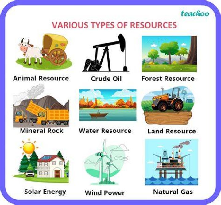 What are the 4 basic resources?
