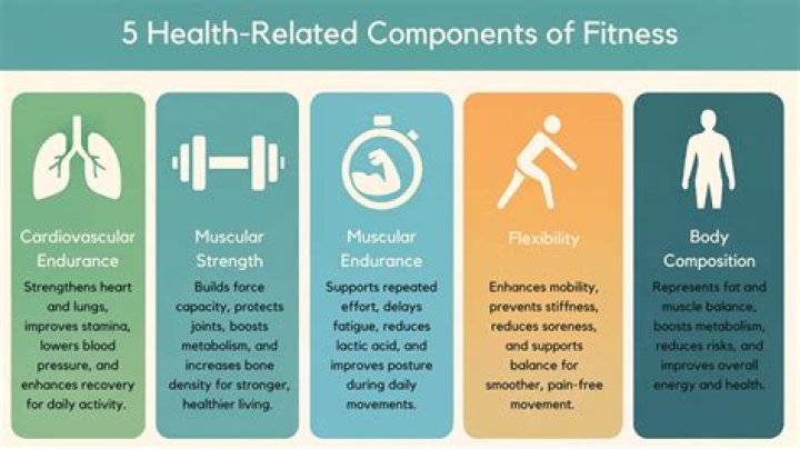 What are the 4 components of good health?