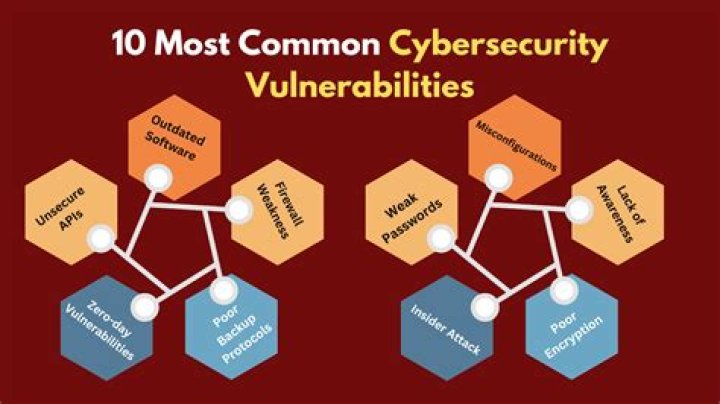 What are the 4 main types of vulnerability discuss?