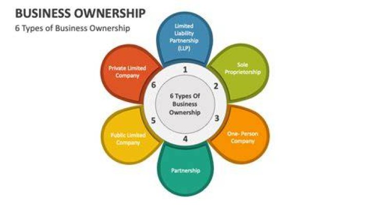 What are the 4 patterns in business ownership?