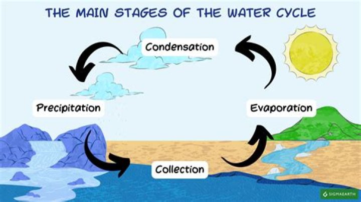 What are the 4 steps of the water cycle in order?