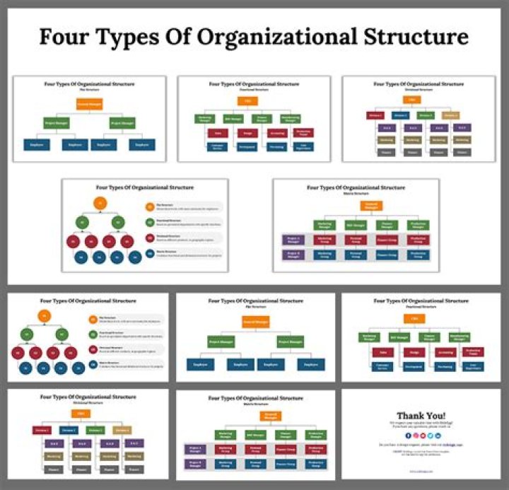 What are the 4 types of business organizational structures?