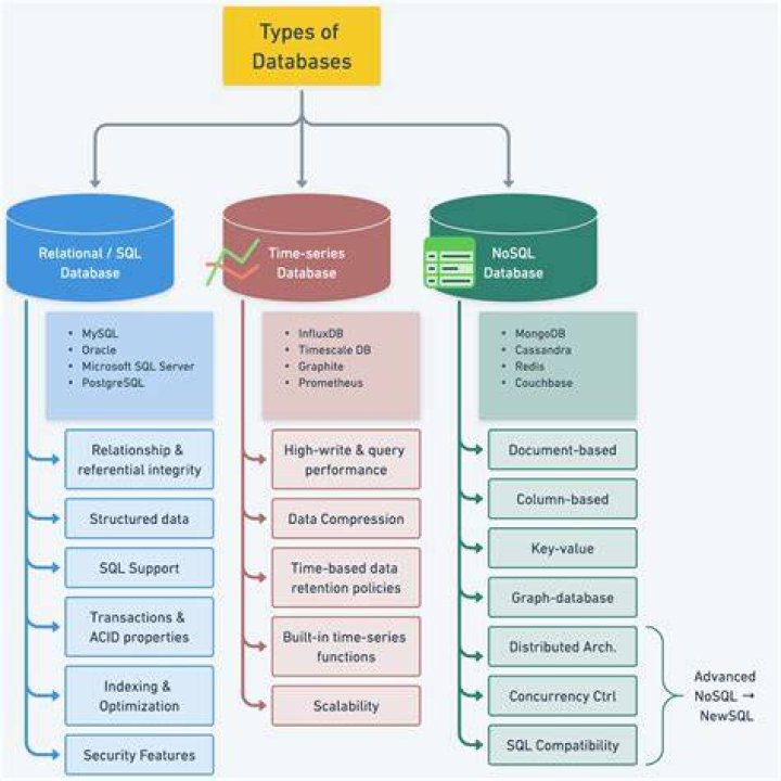 What are the 4 types of database program?