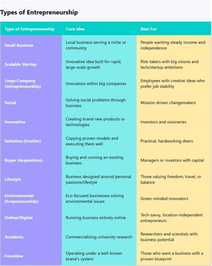What are the 4 types of entrepreneurship business?