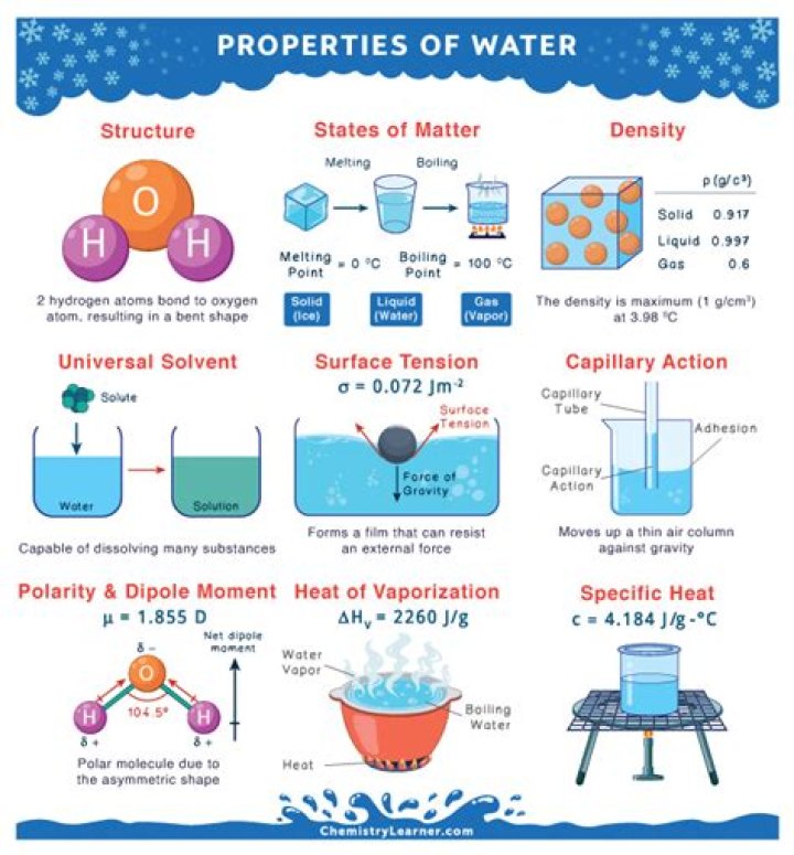 What are the 4 unique properties of water?