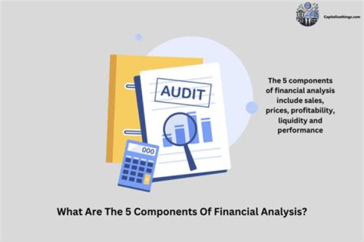 What are the 5 components of financial analysis?