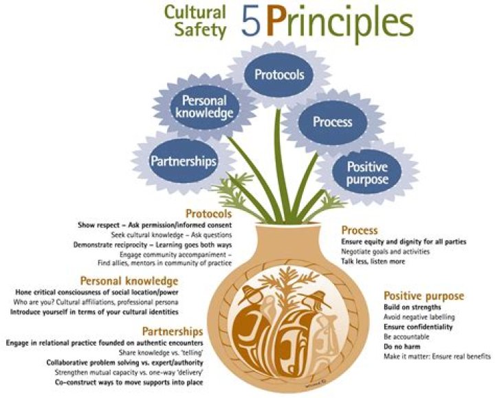 What are the 5 principles of social impact?