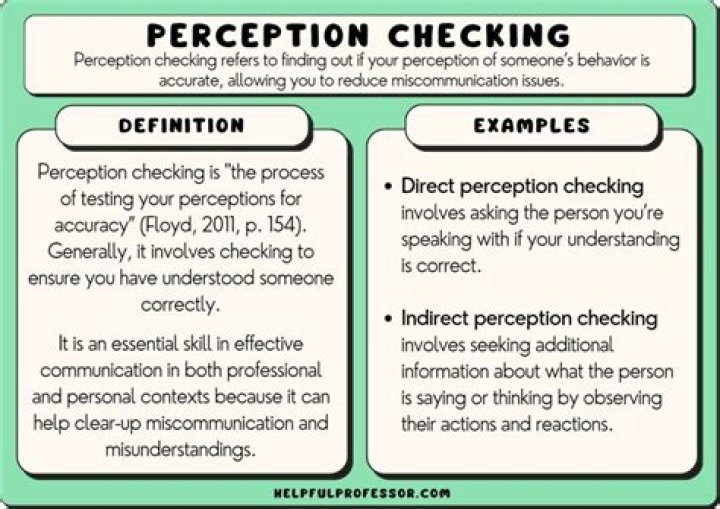 What are the 5 steps of perception checking?