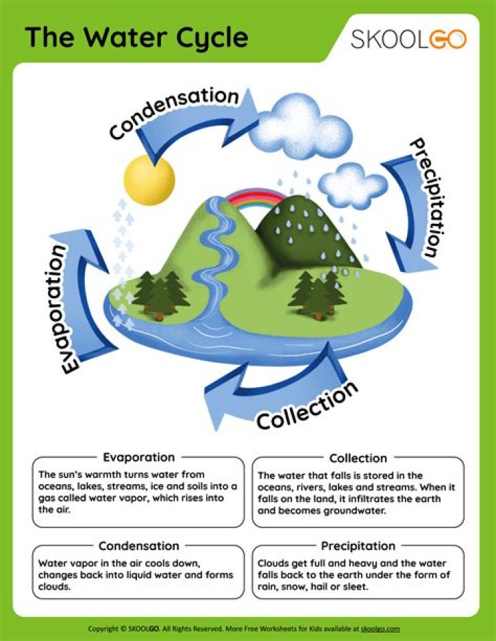 What are the 5 steps of the water cycle?