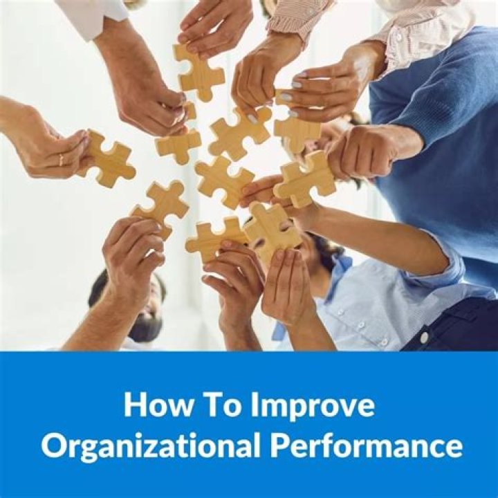 What are the 6 steps for the improve organization performance?